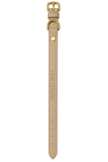 Basic Collar | GOLDEN