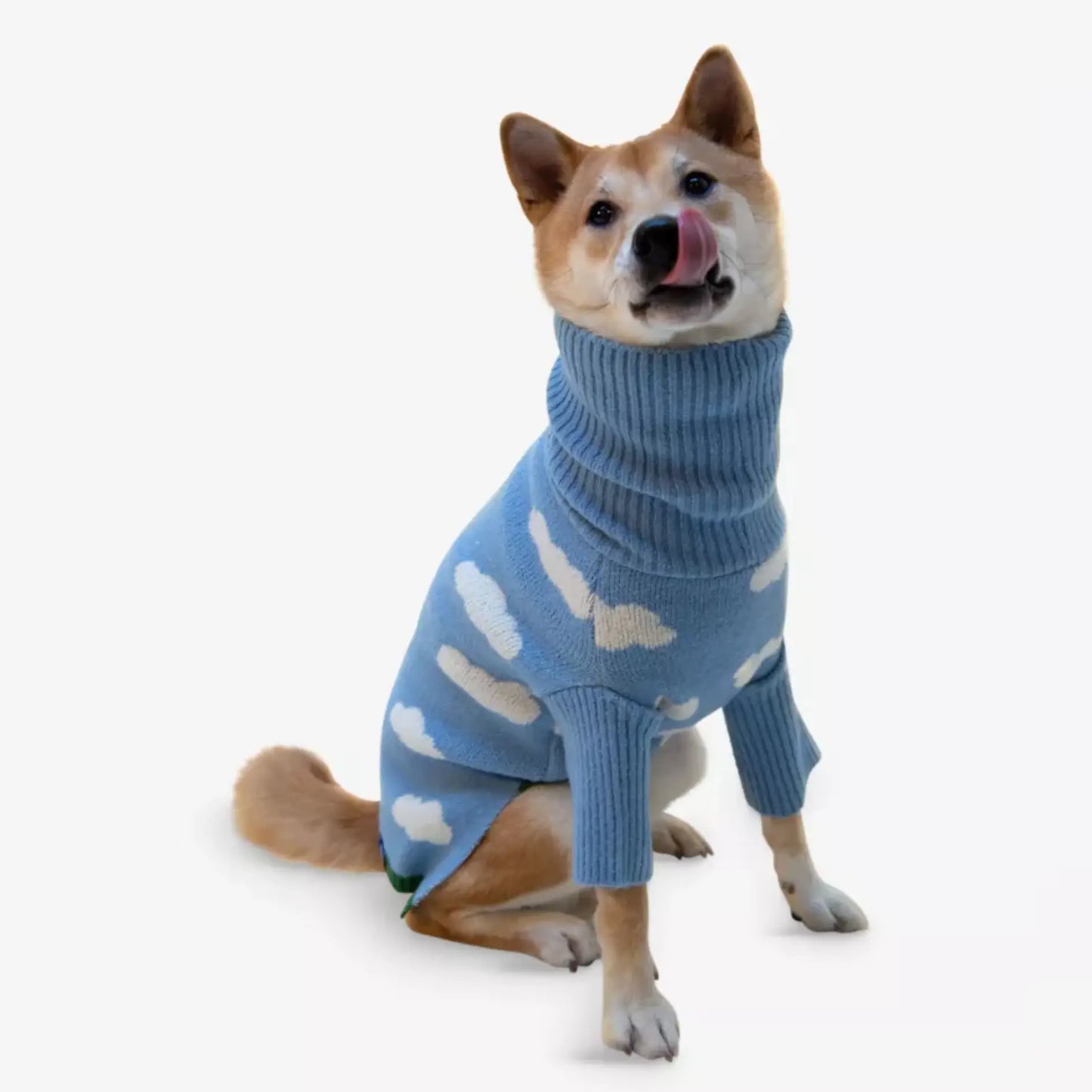 a dog wearing a sweater with clouds on it