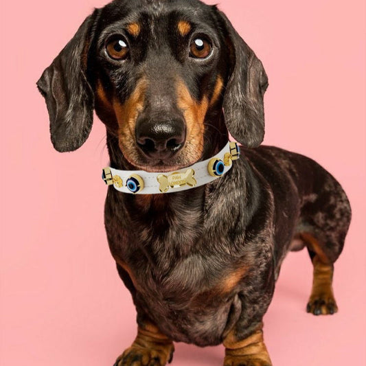 Evil Eye Dog Collar White 🧿 PAW LONDON