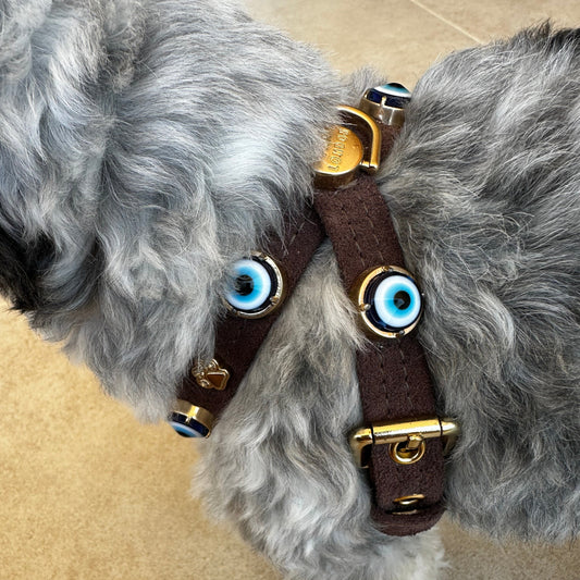 Suede Evil Eye Dog Harness | Dark Chocolate 🧿 PAW LONDON