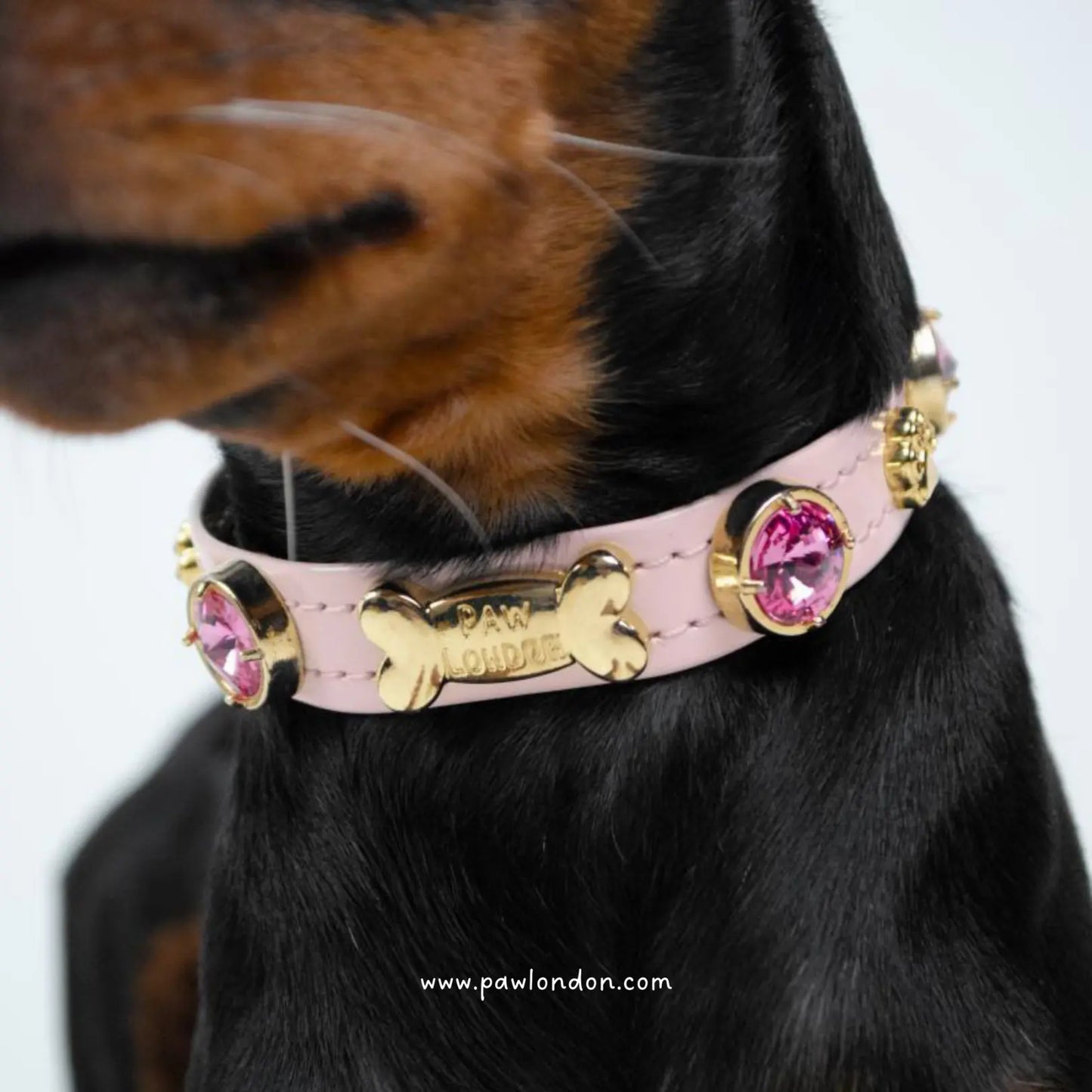 Emma Swarovski Baby Pink Dog Collar 💎 PAW LONDON