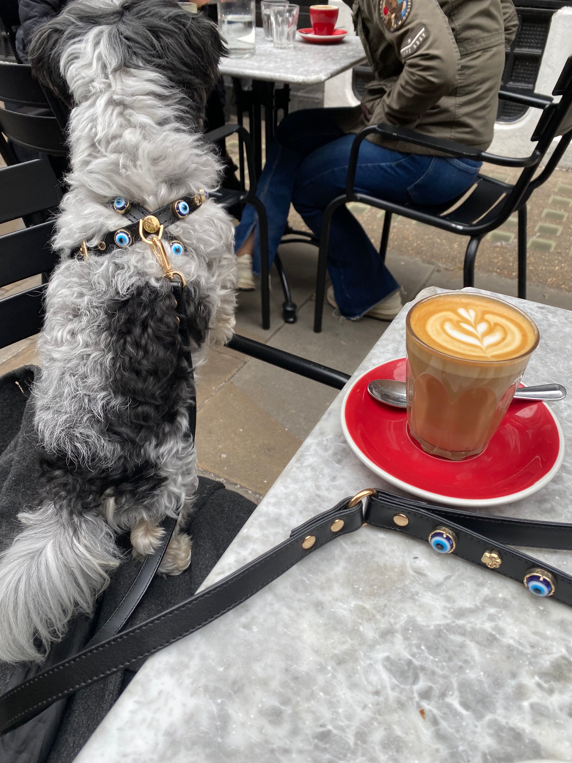 a small dog with Evil Eye Dog Lead Black PAW LONDON sitting next to a cup of coffee
