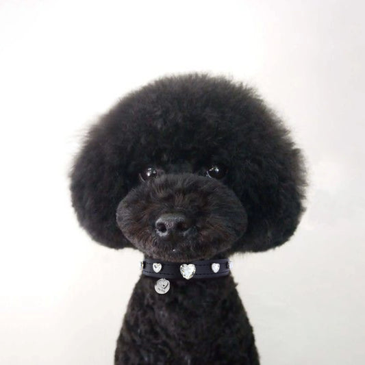  Heart Swarovski Black Dog Collar PAW LONDON