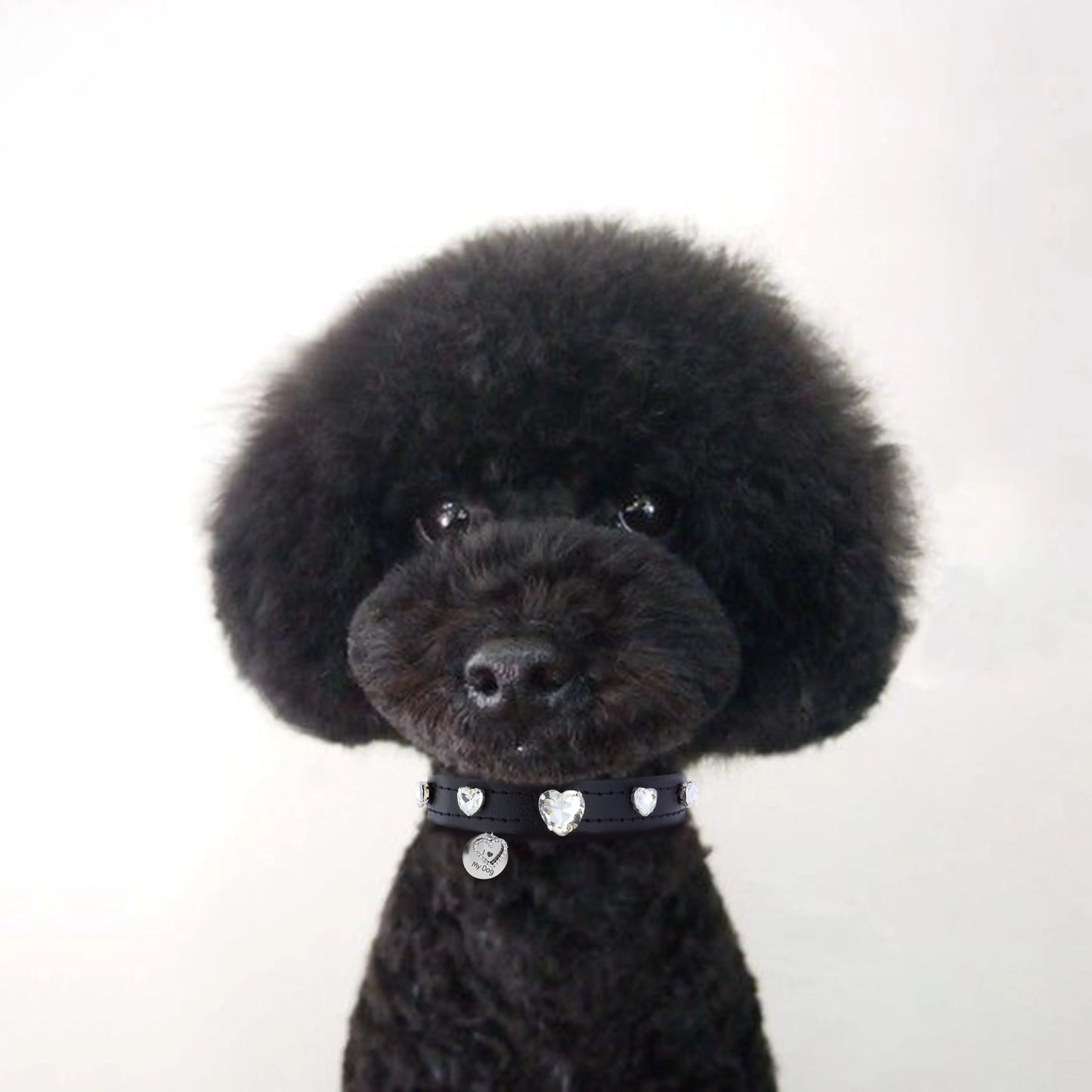  Heart Swarovski Black Dog Collar PAW LONDON