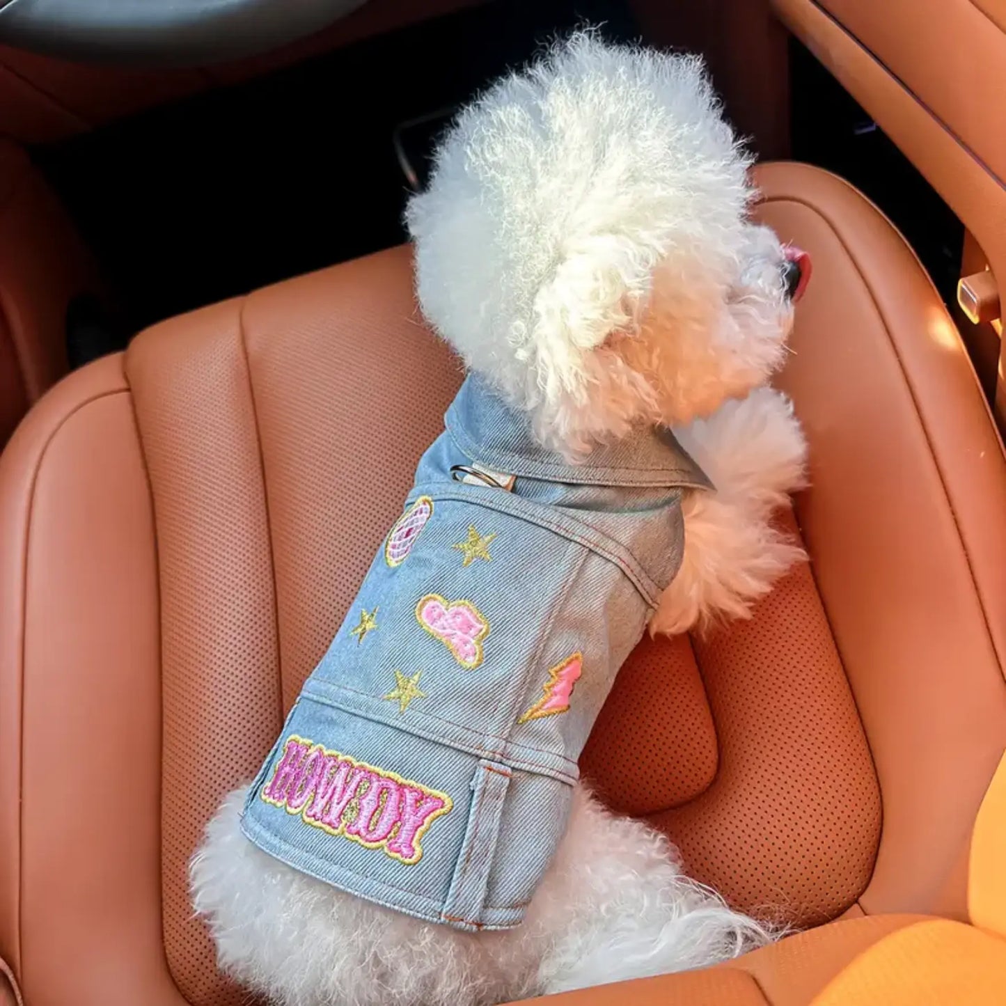 a small white dog wearing a jean jacket