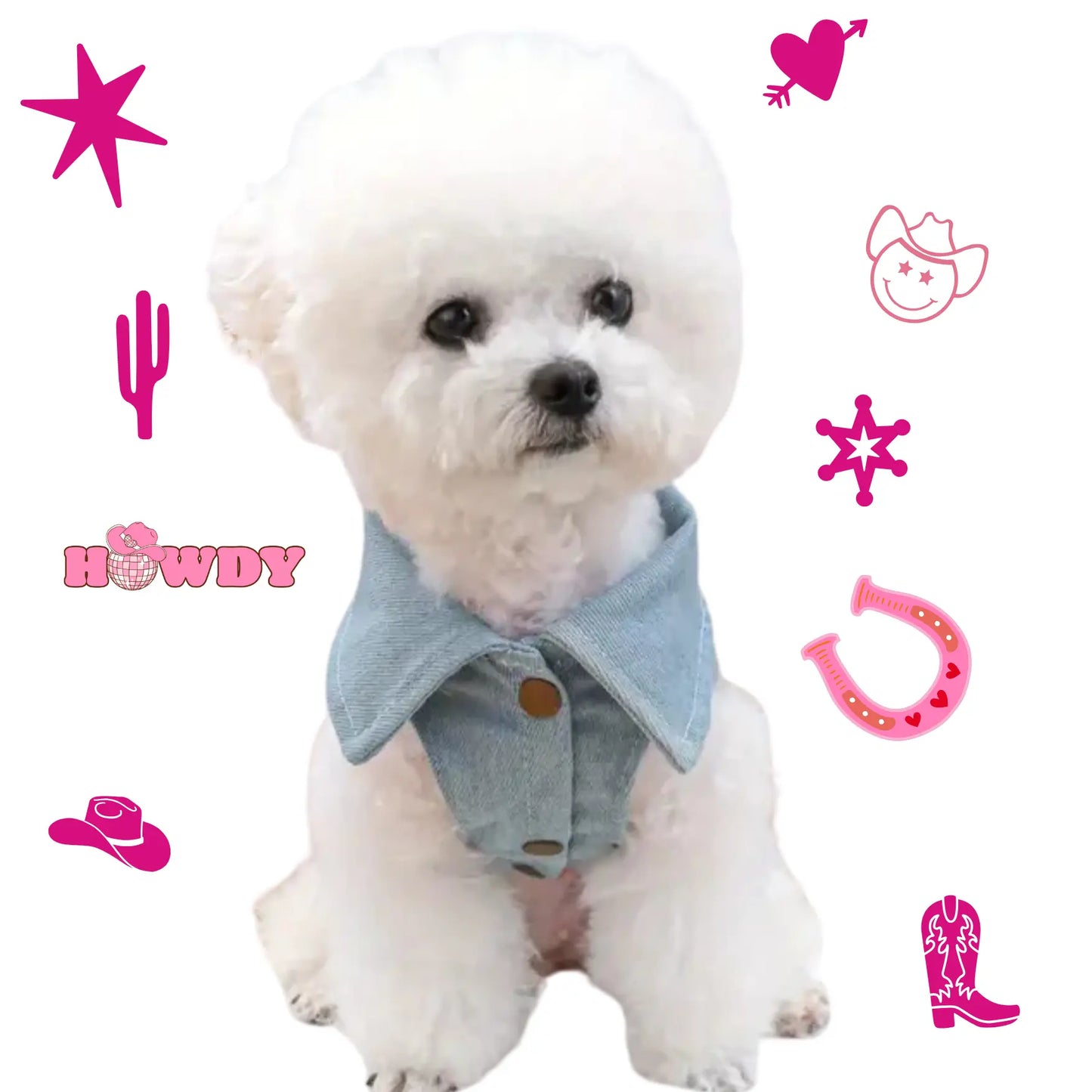 a small white dog with a blue denim jacket on
