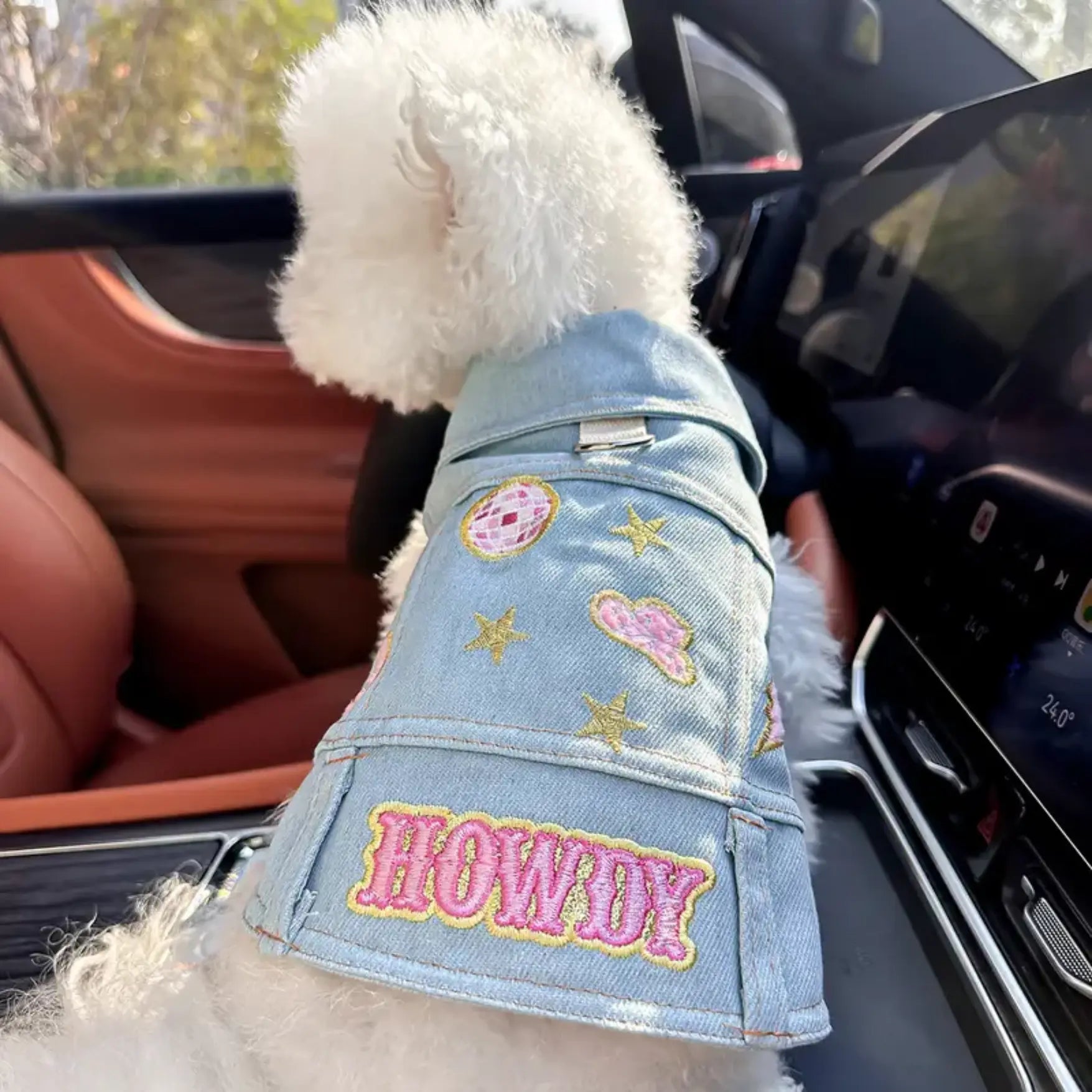 a white dog wearing a jean jacket with patches