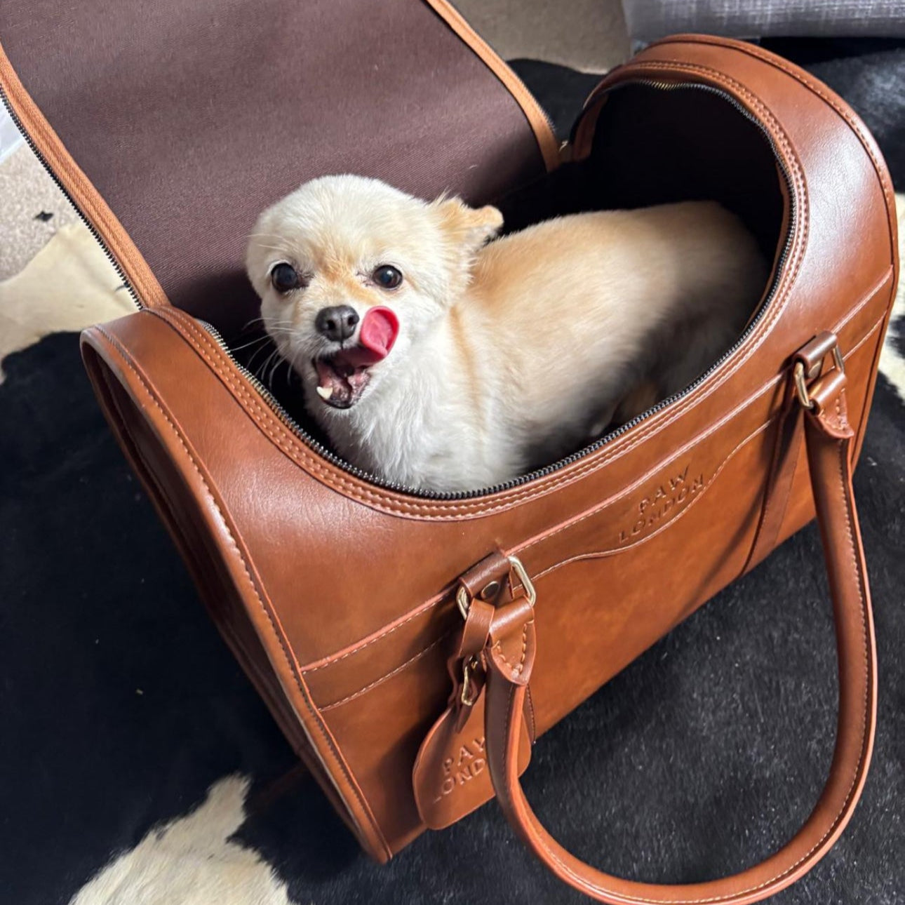 Kelly Airline Approved Pet Travel Carrier Bag | CHOCOLATE 🚀 PAW LONDON