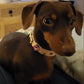 Emma Swarovski Baby Pink Dog Collar 💎 PAW LONDON