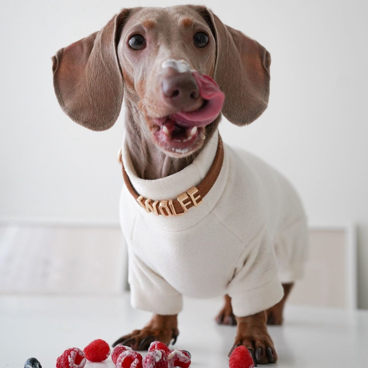 Personalised Collar | Write Your Pet's Name ★ PAW LONDON