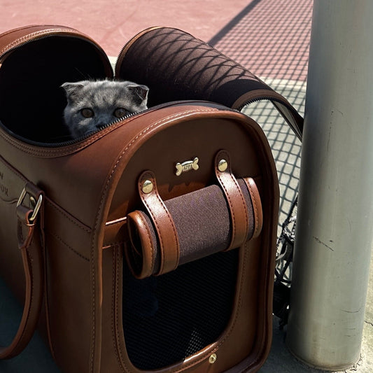Kelly Airline Approved Pet Travel Carrier Bag | CHOCOLATE 🚀 PAW LONDON