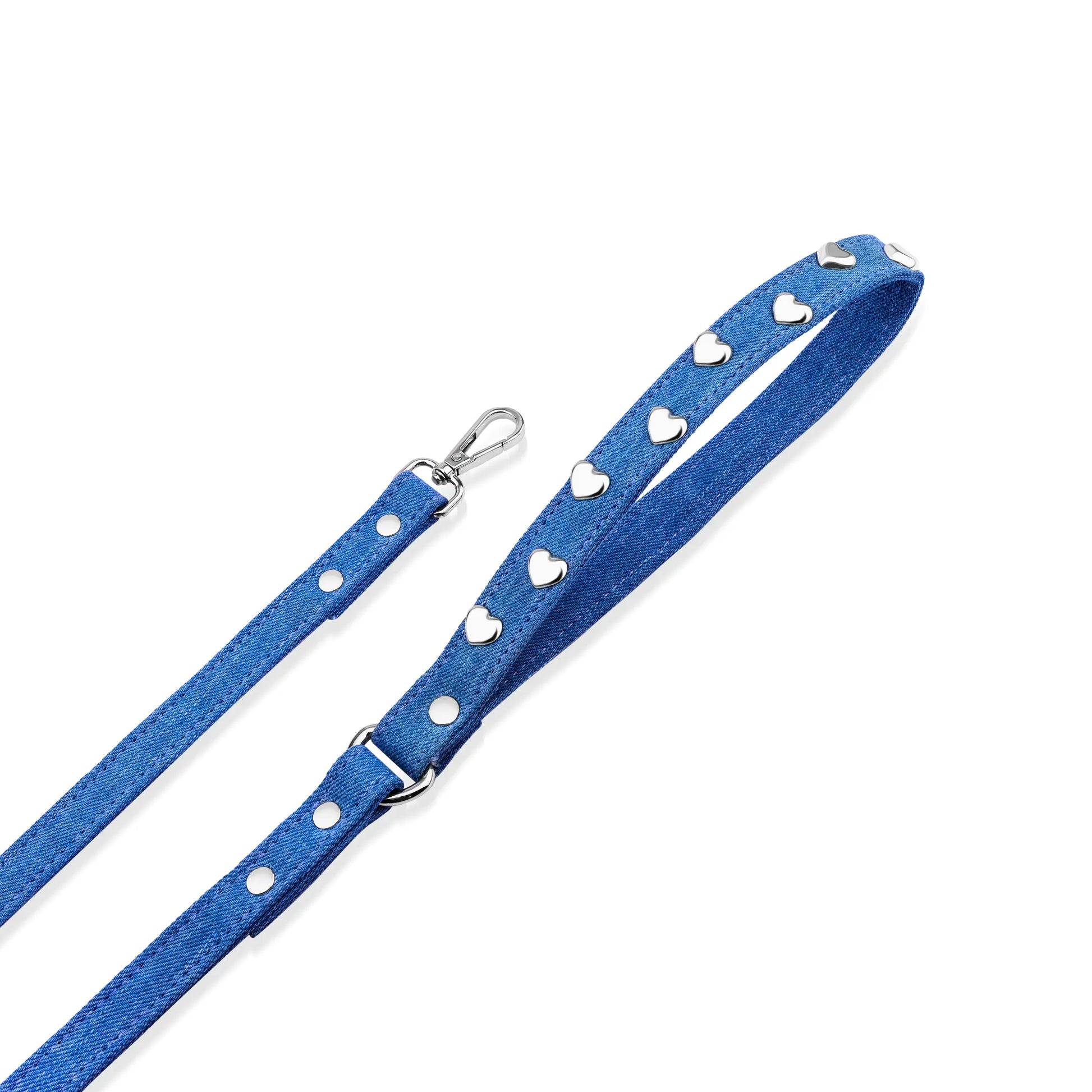 a blue leash with hearts on it
