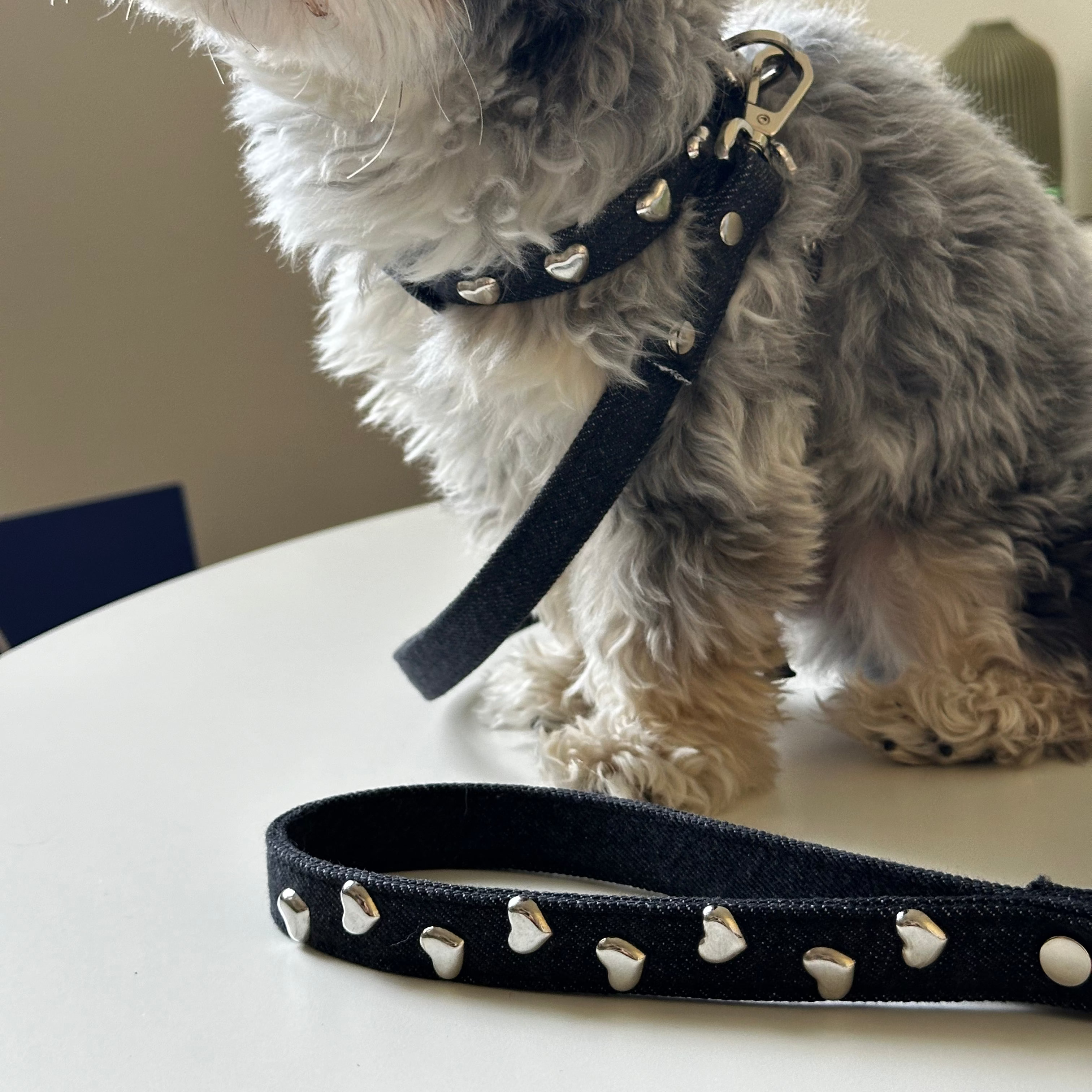 Lovefool Denim Dog Harness | Noir 🖤 - PAW LONDON