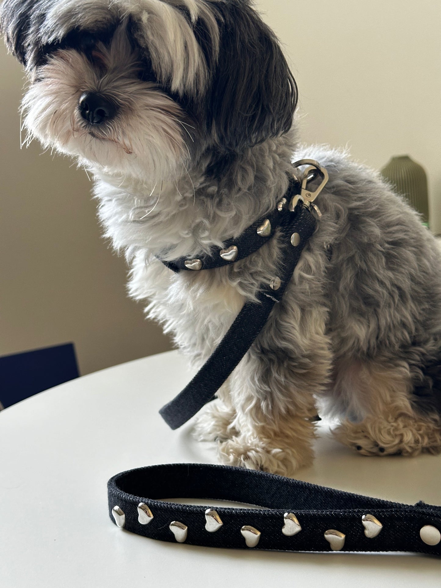 Lovefool Denim Dog Harness | Noir 🖤 - PAW LONDON