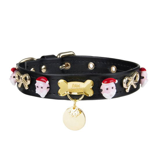 a black leather dog collar with skulls and bones on it