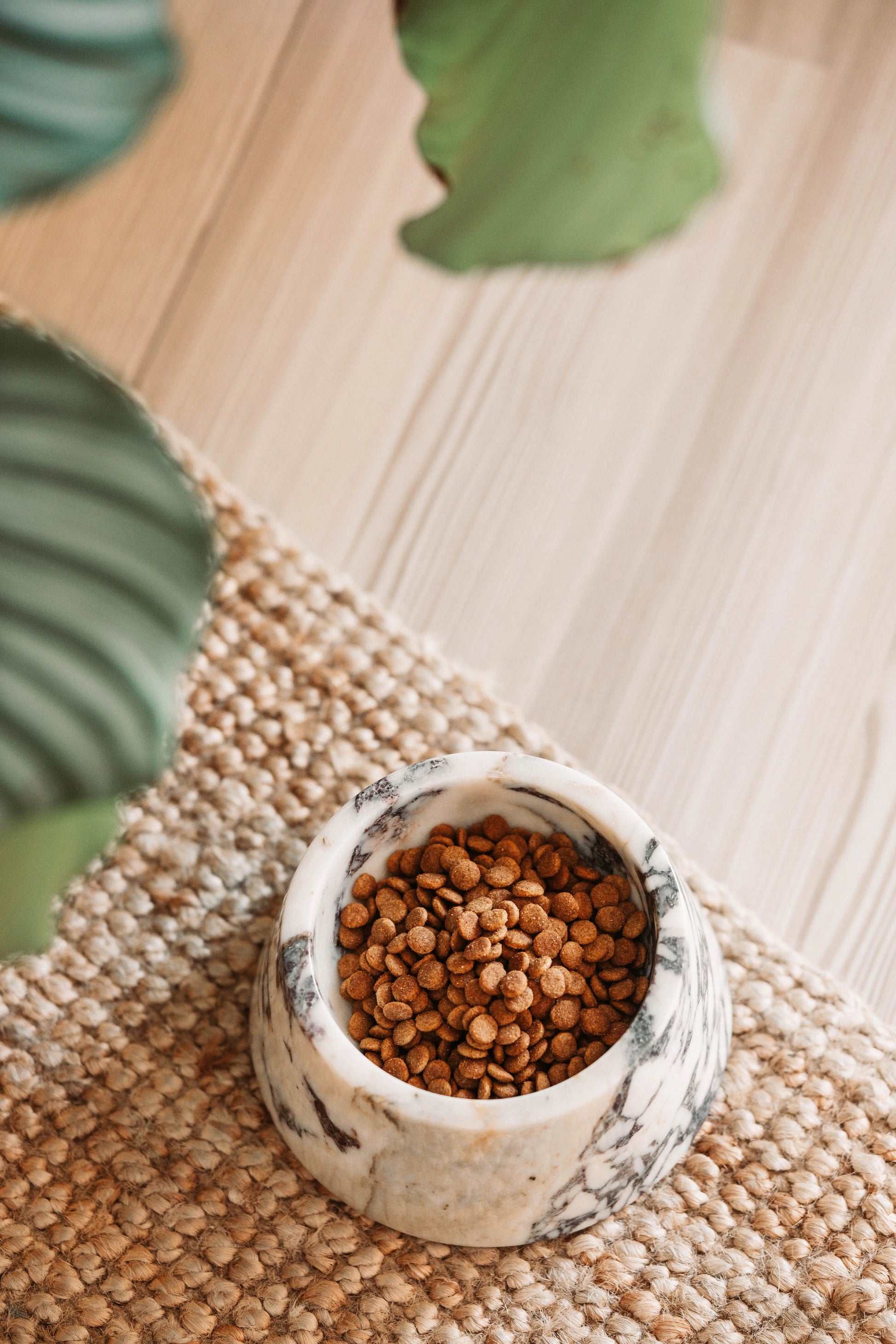 Marbowl Dog Food Bowl | Violet 🥡 - PAW LONDON