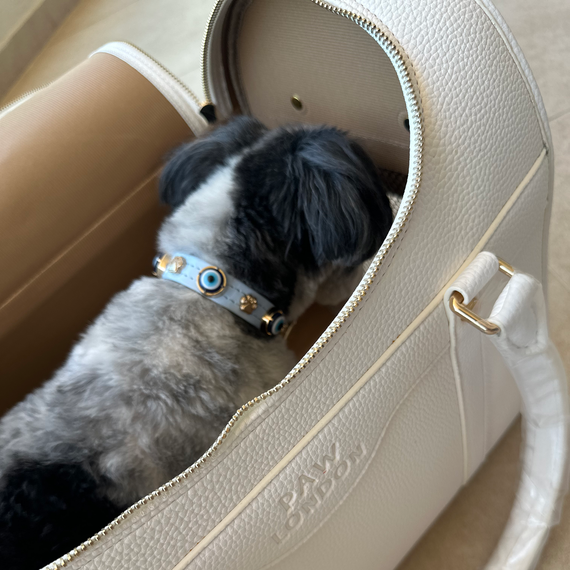 Airline approved dog carrier