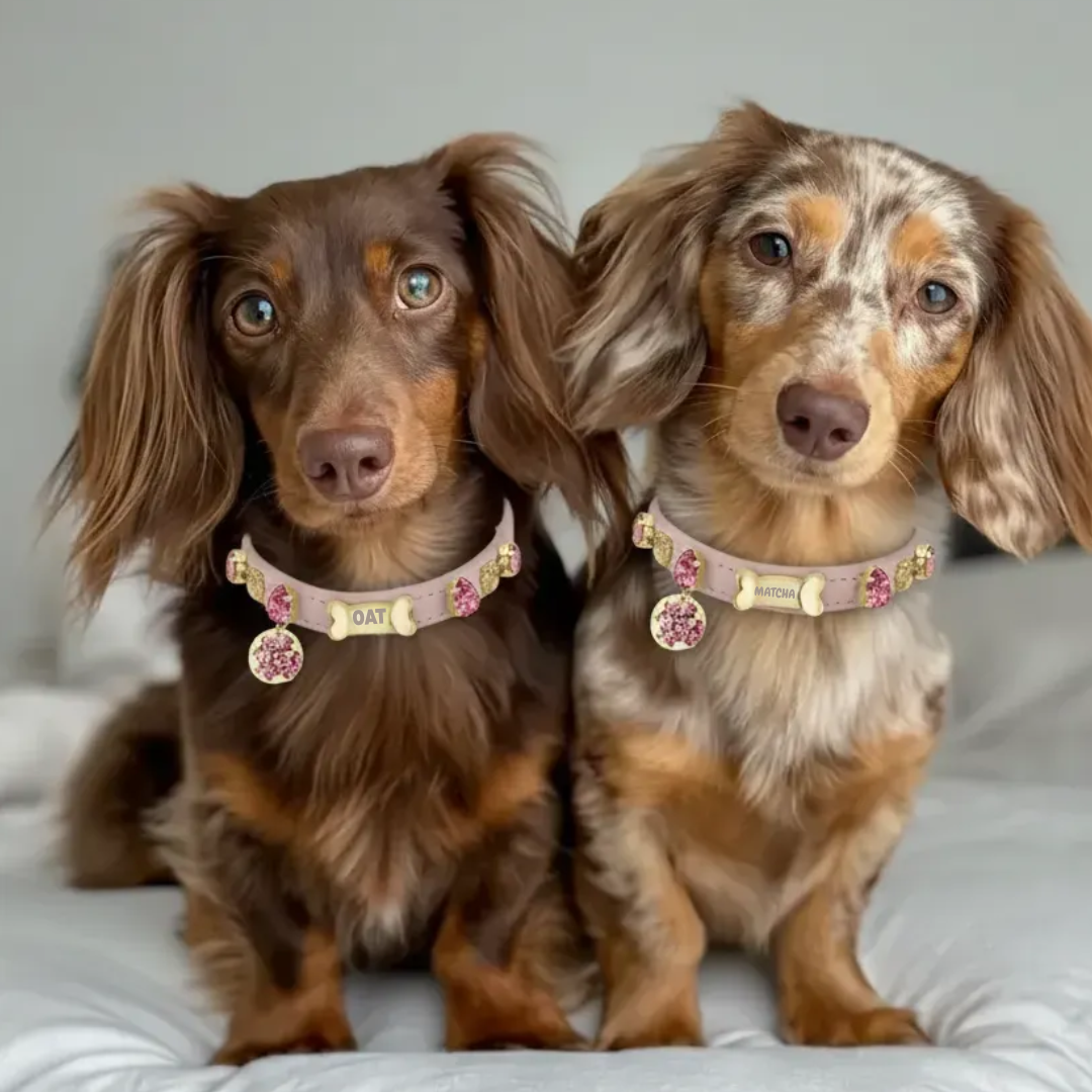 Chelsea Pink Swarovski Dog Collar 💎