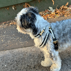 Tahiti Pearl Dog Harness Black PAW LONDON