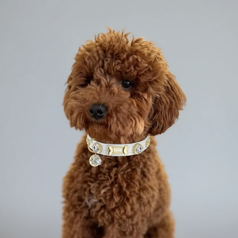 Lily Swarovski glänzend weißes Hundehalsband 💎