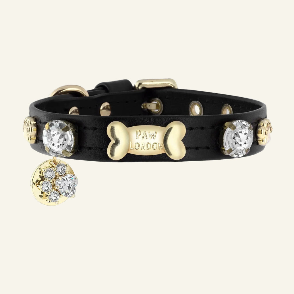 Alex Swarovski Black Dog Collar 💎 - PAW LONDON