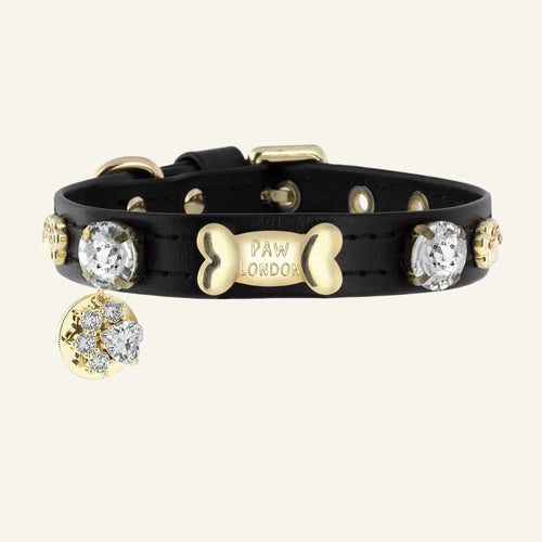 Alex Swarovski Black Dog Collar 💎 - PAW LONDON