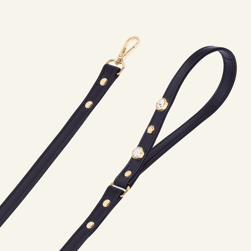Alex Swarovski Black Dog Lead 🐩 - PAW LONDON