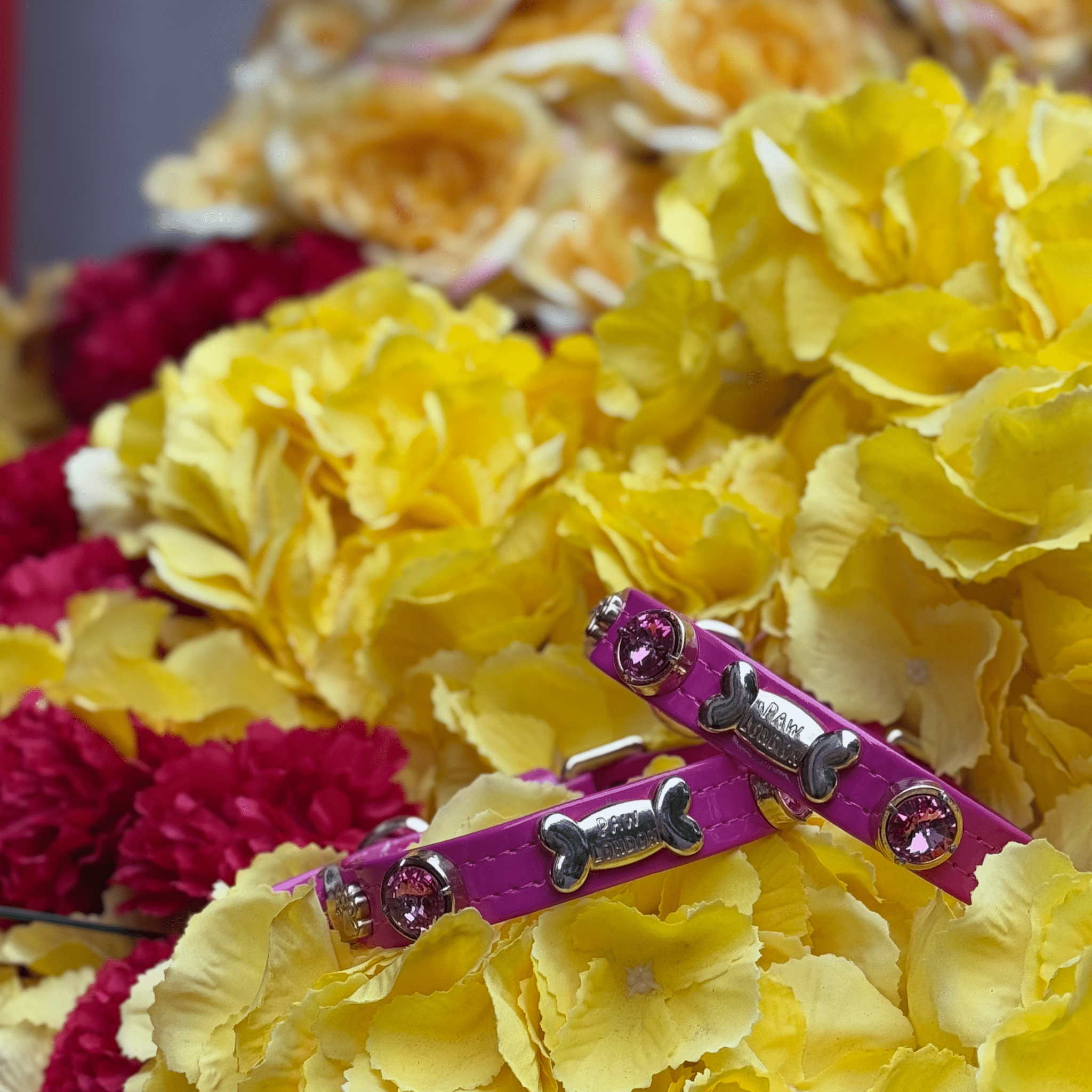 Alice Swarovski Hot Pink Dog Collar 💎 - PAW LONDON