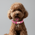 Alice Swarovski® Hot Pink Dog Collar 💎 - PAW LONDON