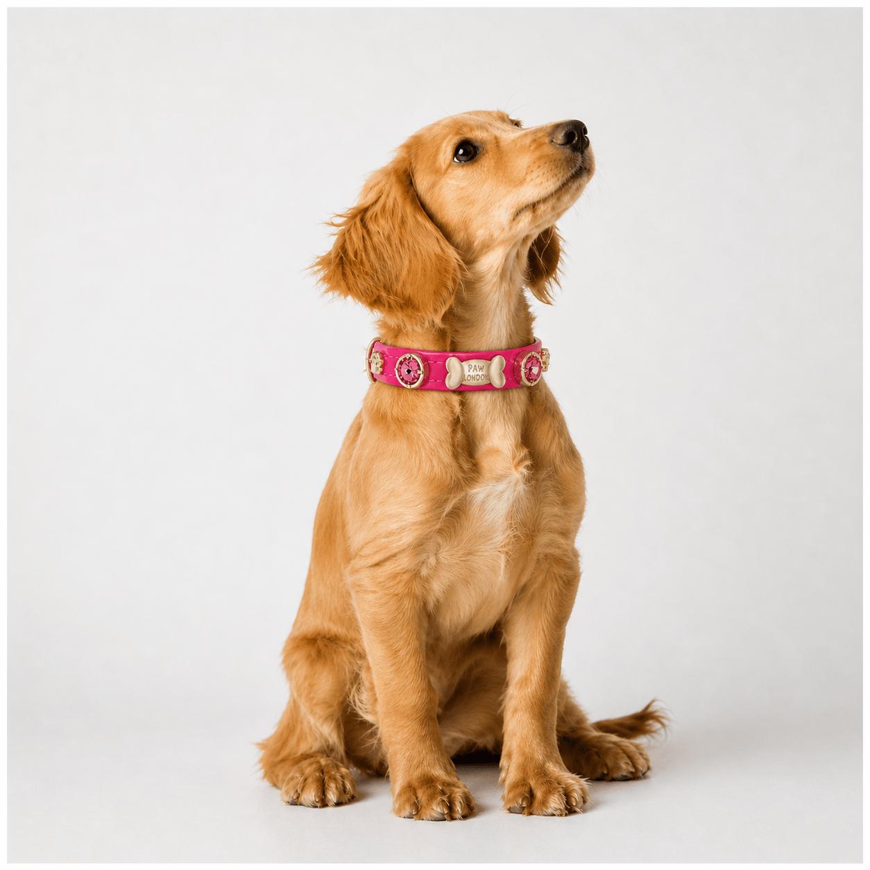 Alice Swarovski® Hot Pink Dog Collar 💎 - PAW LONDON