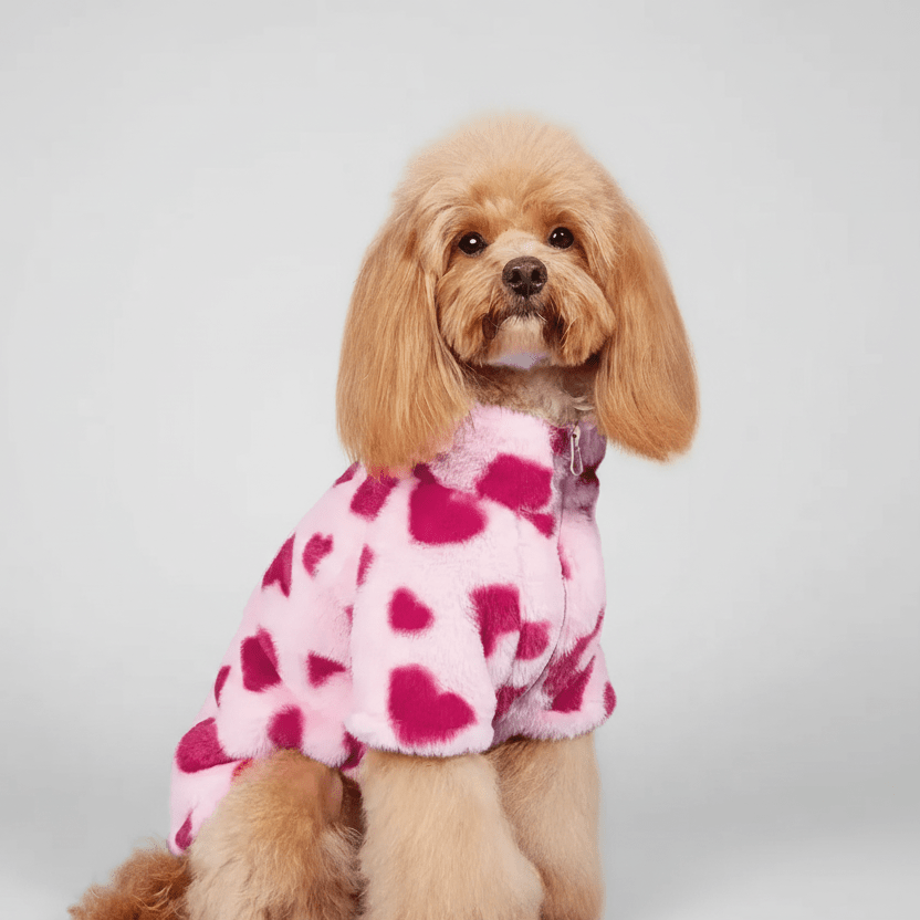 All Over Heart Dog Fleece 💓 - PAW LONDON