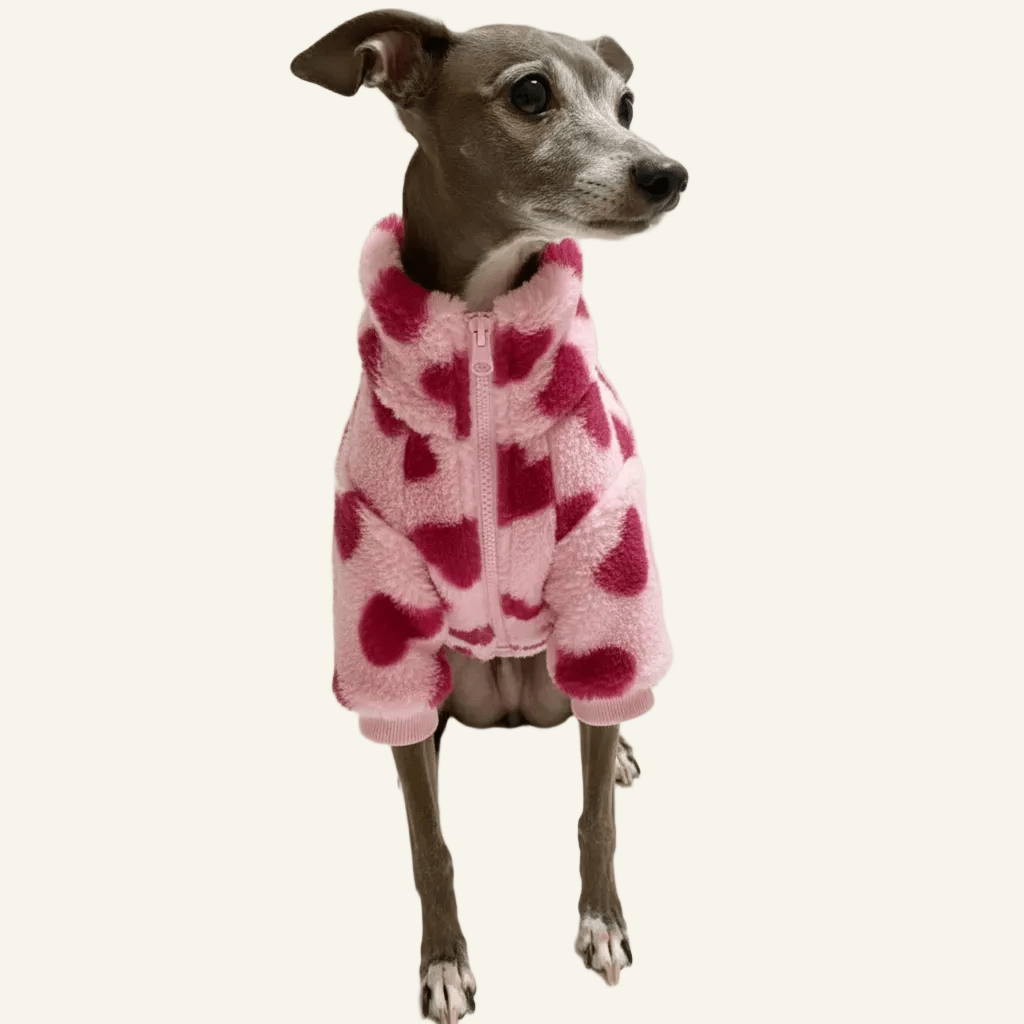 All Over Heart Dog Fleece 💓 - PAW LONDON