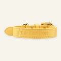 Basic Light Dog Collar | Butter Yellow Matte - PAW LONDON