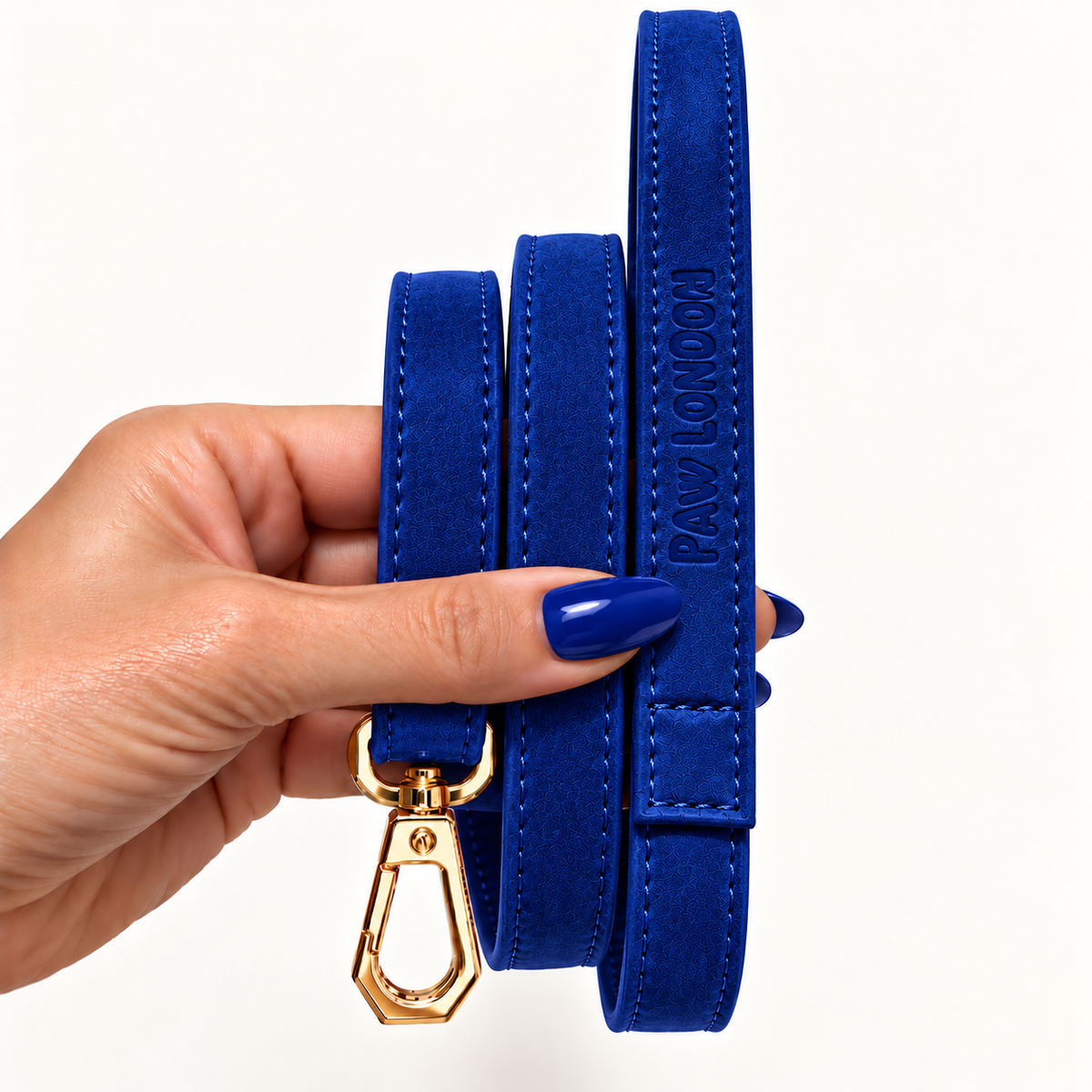 Basic Light Dog Leash | Royal Blue Textured