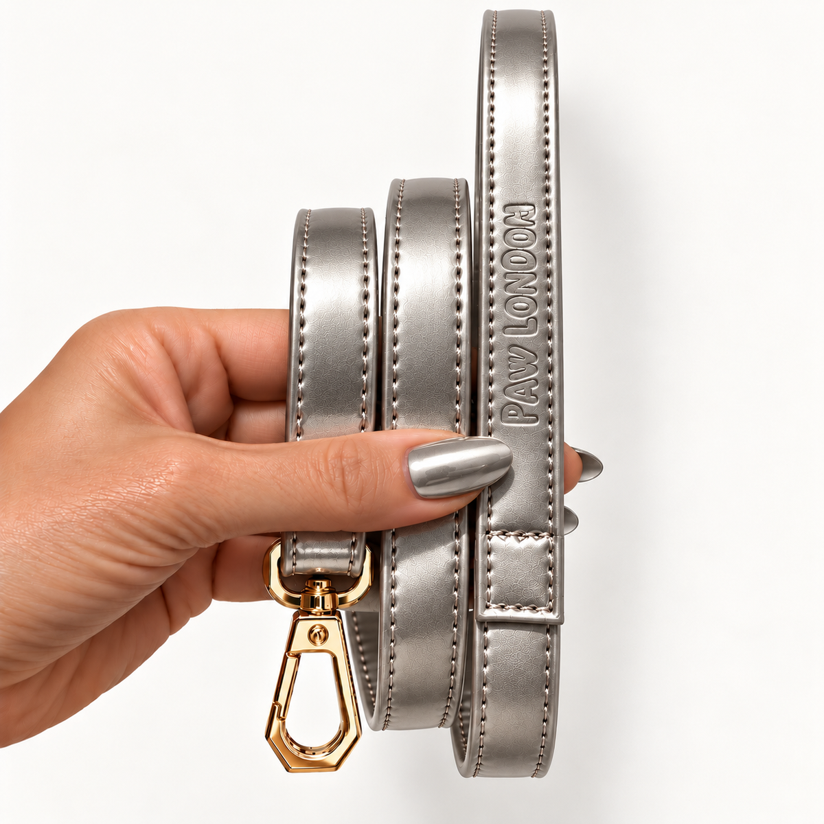 Basic Light Dog Leash | Silver