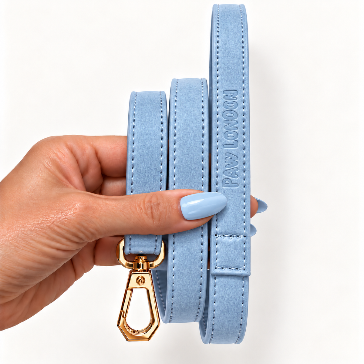 Basic Light Dog Leash | Sky Blue Textured