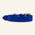 Basic Light dog collar in Royal Blue suede-textured vegan leather