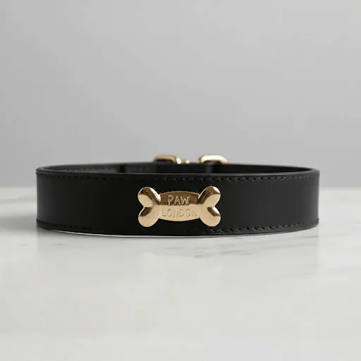 Black Dog Collar - PAW LONDON