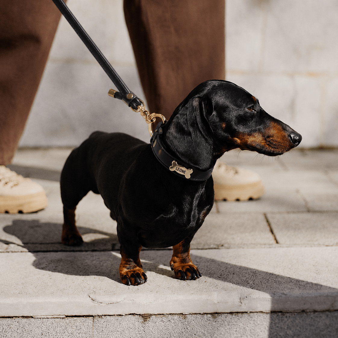 Black Dog Collar - PAW LONDON