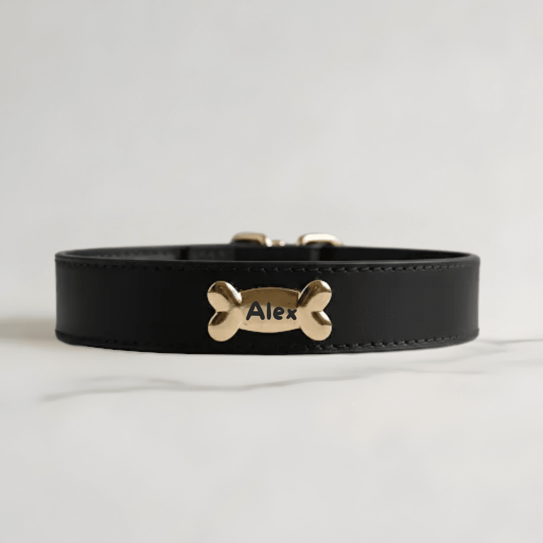 Black Dog Collar - PAW LONDON