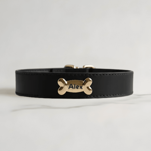 Black Dog Collar - PAW LONDON