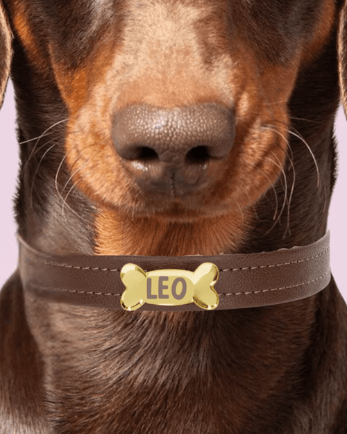 Bone Personalisation - PAW LONDON