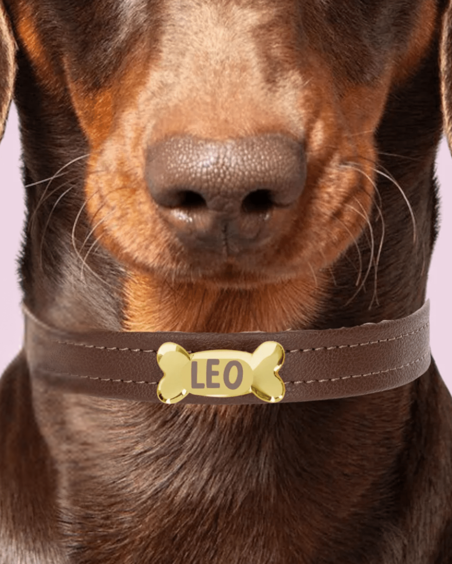 Bone Personalisation - PAW LONDON