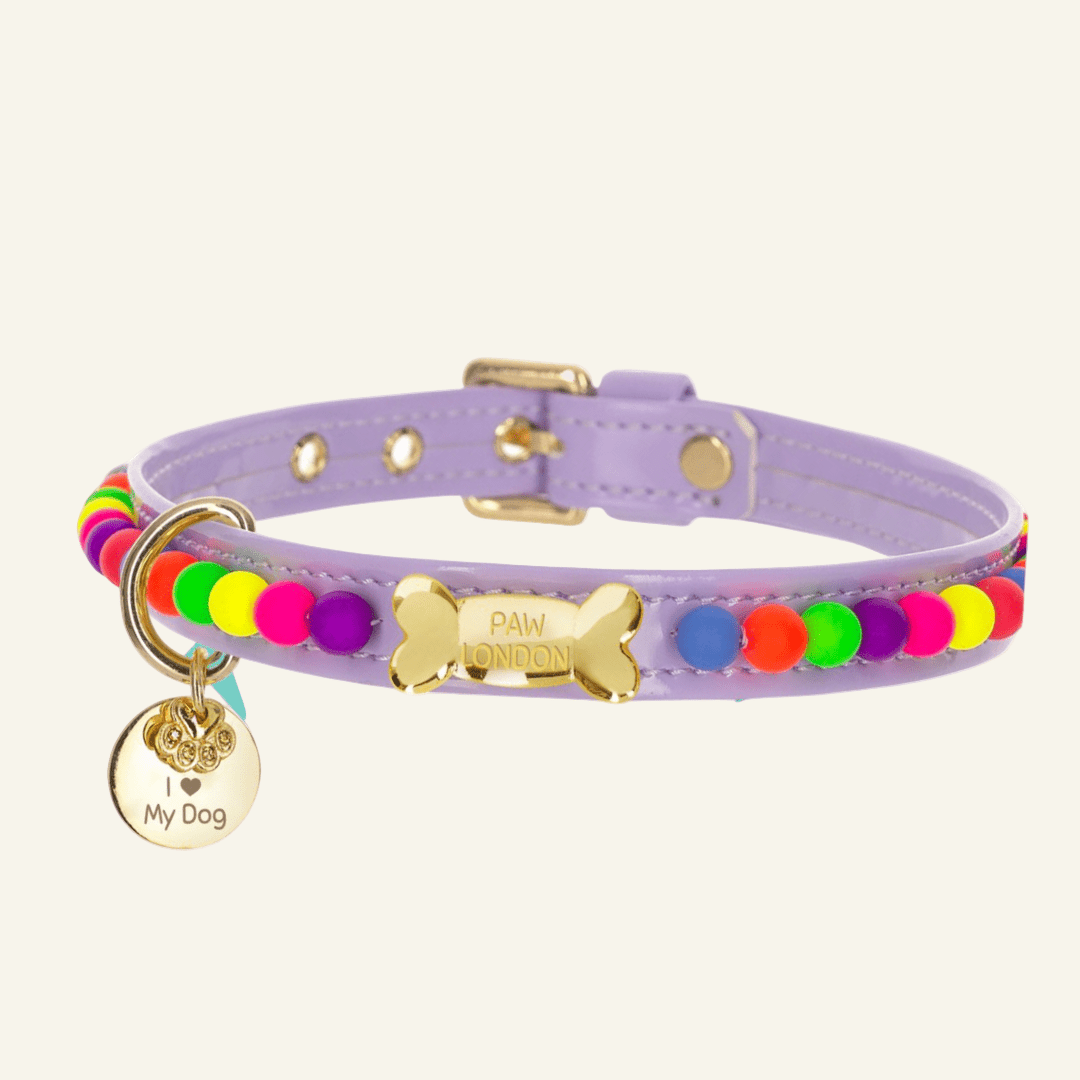 Bonibon Dog Collar | Lilac 🎈 - PAW LONDON