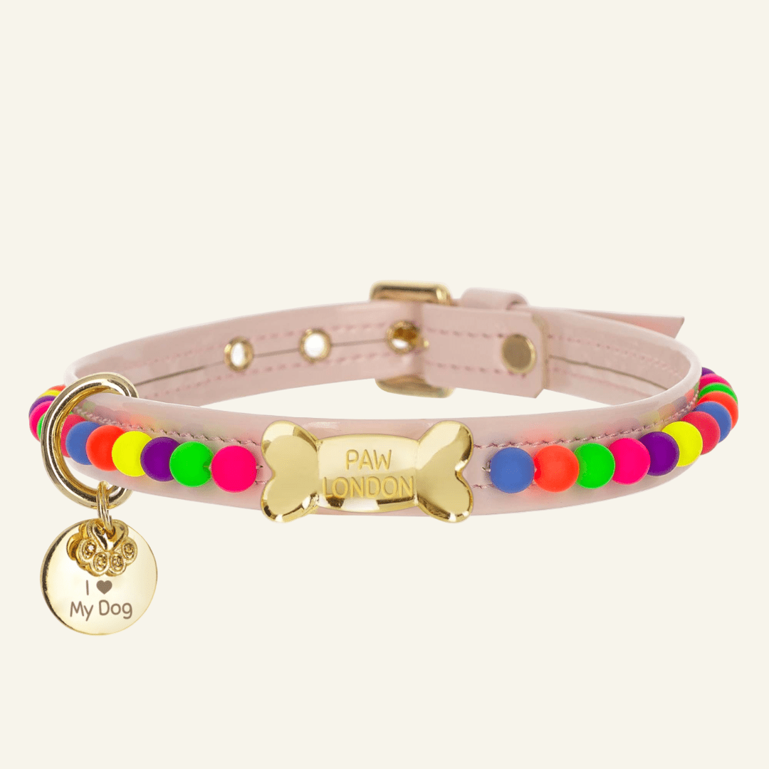 Bonibon Dog Collar | Pink 🎈 - PAW LONDON