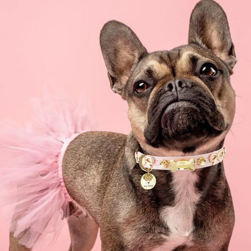 Bow Bone Dog Collar | Pink 🎀 - PAW LONDON