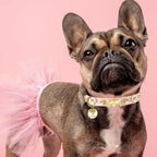 Bow Bone Dog Collar | Pink 🎀 - PAW LONDON