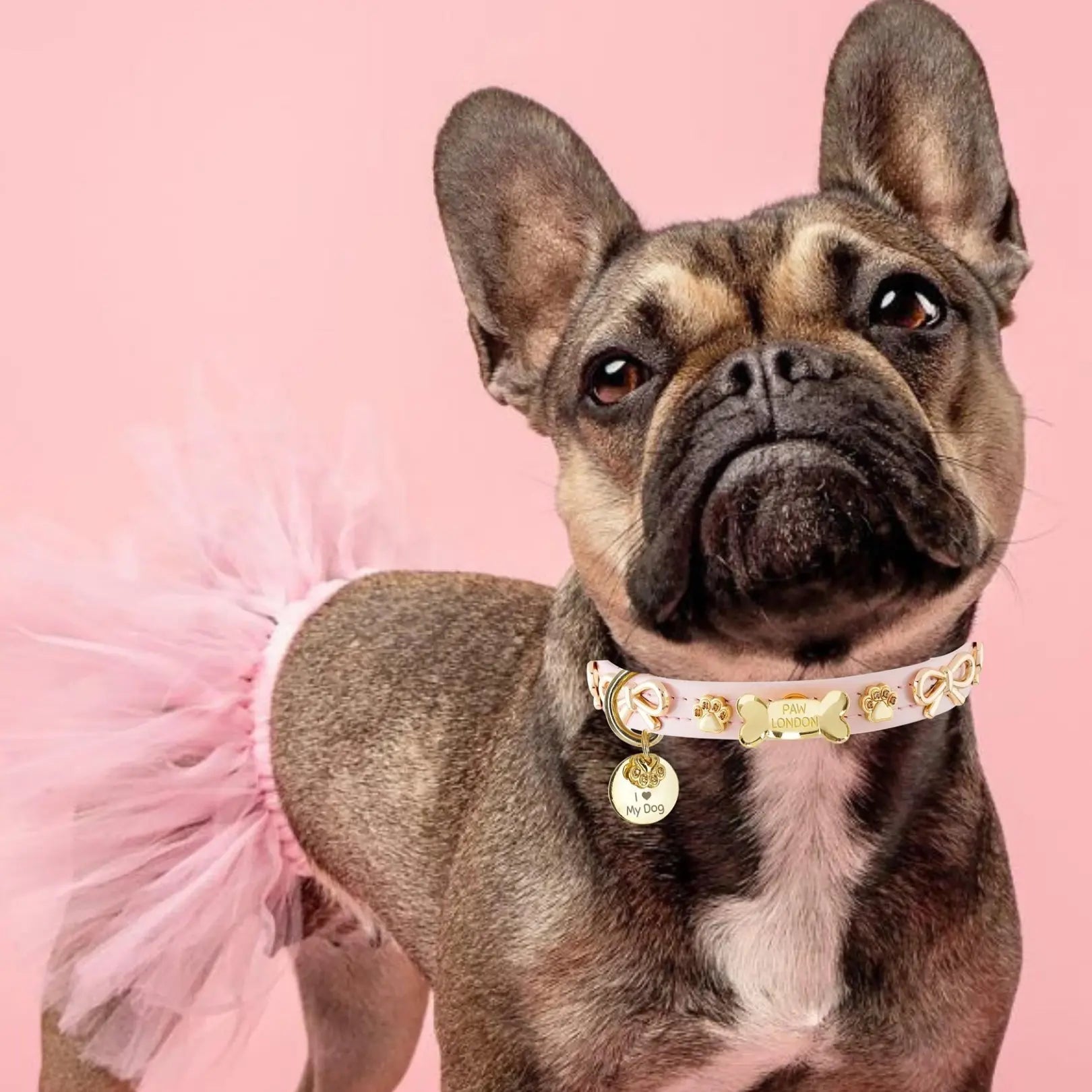 Bow Bone Dog Collar | Pink 🎀 - PAW LONDON