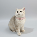 Bow Cat Collar | Suede Baby Pink 💘 - PAW LONDON