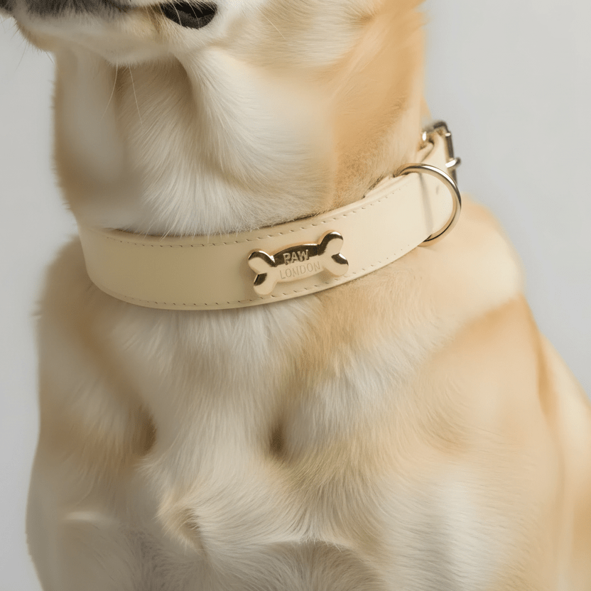 Butter Dog Collar 🧈 - PAW LONDON